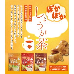 からだぽかぽかしょうが茶3種セット 送料無料の詳細画像1