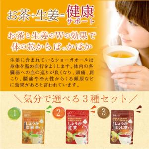 からだぽかぽかしょうが茶3種セット 送料無料の詳細画像2