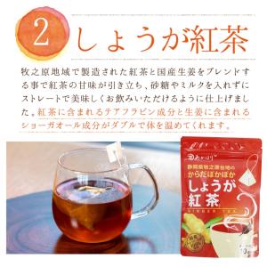 からだぽかぽかしょうが茶3種セット 送料無料の詳細画像4