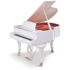 スタインバッハ　DSG-1＜ホワイト・チッペンデール特注＞