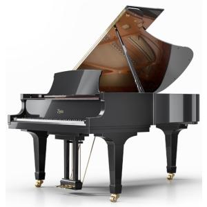 ボストン　GP-215PE-2