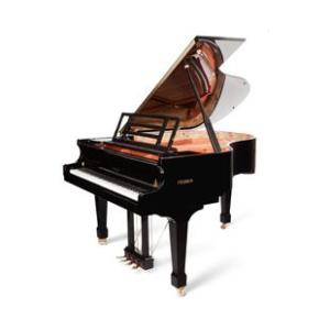 フォイリッヒ　F179-Dynamic２