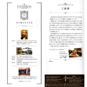 フォイリッヒ F179-Dynamic2の詳細画像1