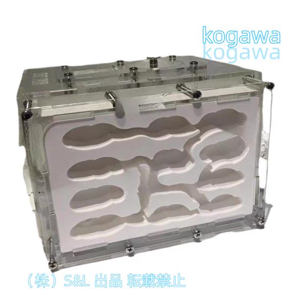 アリの巣観察キット 大きい 石膏製巣箱 保湿性がよい 株式会社S＆L 自由研究 蟻 観察 飼育 実験...