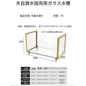亀水槽大きいガラスボックスカメの水槽タートルタ...の詳細画像1