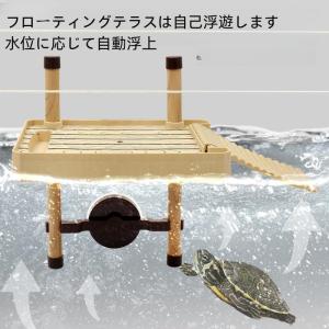 亀水槽大きいガラスボックスカメの水槽タートルタ...の詳細画像2