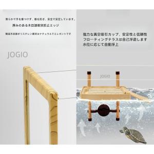 亀水槽大きいガラスボックスカメの水槽タートルタ...の詳細画像4