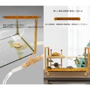 亀水槽大きいガラスボックスカメの水槽タートルタ...の詳細画像5