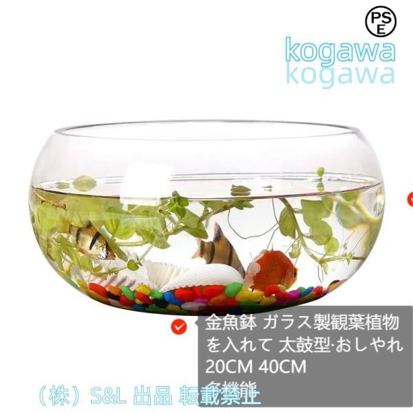 19cm 24cm 金魚鉢 ガラス製 透明 丸 鉢 和風 可愛い ミニ水槽 おしゃれ 多機能 株式会...
