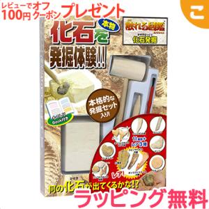 触れる図鑑 vol.4 化石発掘 ライブエンタープライズ 図鑑 夏休み 実験 体験 かせき はっくつ...