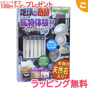 触れる図鑑 vol.2 原石磨き ライブエンタープライズ 原石みがき 図鑑 夏休み 実験 体験 子供 ギフト プレゼント｜kogumastore