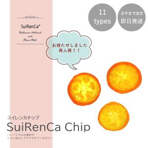 フルーツチップ 押し野菜 ドライ パーツ 素材 ハーバリウム