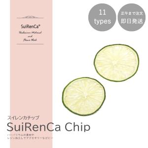 フルーツチップ 押し野菜 ドライ パーツ 素材 ハーバリウム SRCC-LI スイレンカチップ ライム