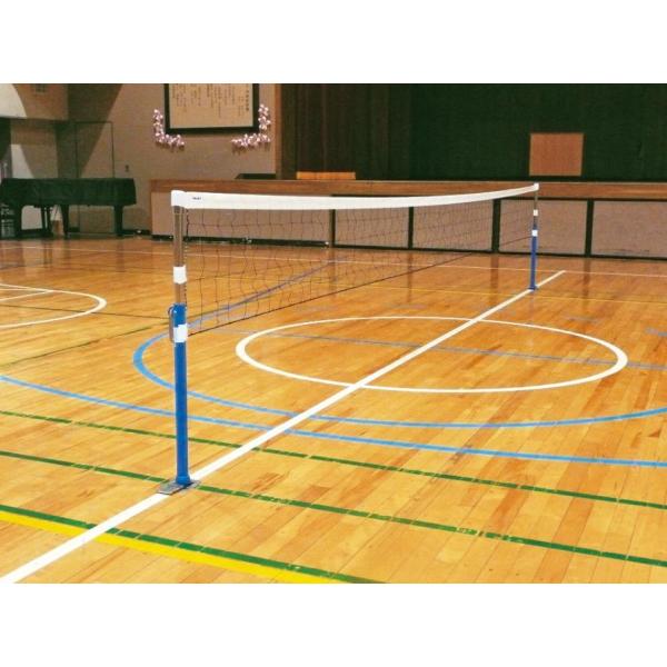 トーエイライト プレルボール100(ネット付) TOEI LIGHT B5971