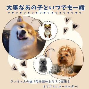 いぬけだま ケース キーホルダー 犬毛玉 入れ...の詳細画像1
