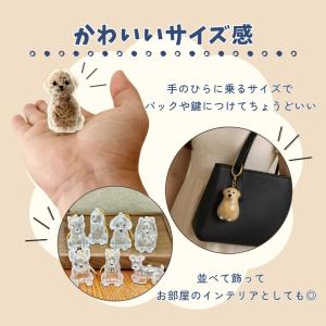 いぬけだま ケース キーホルダー 犬毛玉 入れ...の詳細画像2