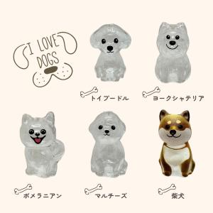 いぬけだま ケース キーホルダー 犬毛玉 入れ...の詳細画像5