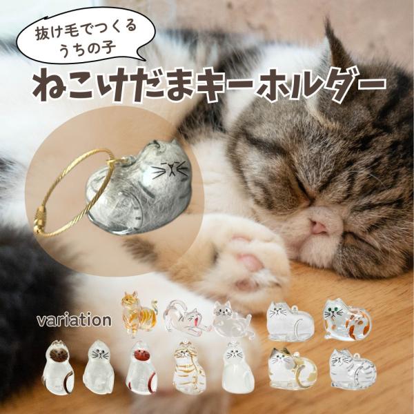 ねこけだま ケース キーホルダー 猫毛玉 入れ 猫毛収納ボックス 12種類 ネコ 毛玉容器 猫 毛玉...