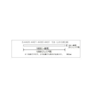 三和体育 バスケットボード 1枚板 (ジュニア...の詳細画像1