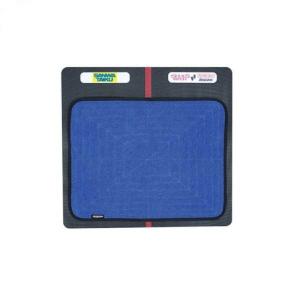 [3/31まで文字入れシール無料サービス]三和体育 シューズワイパー ブルー 学校 体育用品 送料無料 S-9512B