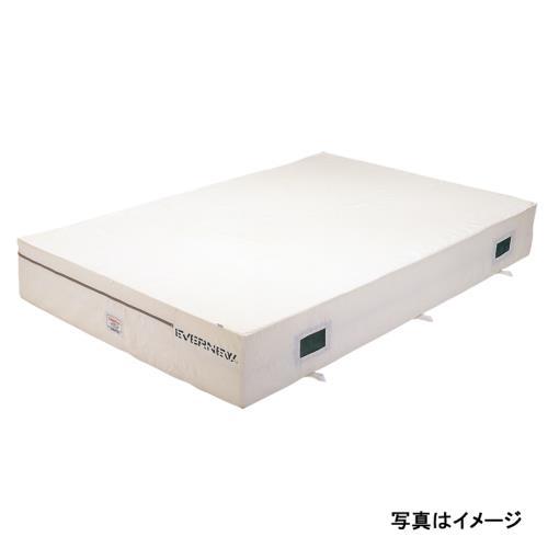 [P2倍 5/25 20時〜24時限定]エバニュー EVERNEW 抗菌屋内エバーマット 150×2...