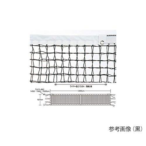 [P2倍 5/25 20時〜24時限定]エバニュー EVERNEW 全天候硬式テニスネット内蔵型専用...