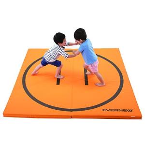 エバニュー EVERNEW 軽量 折りたたみ ...の詳細画像1