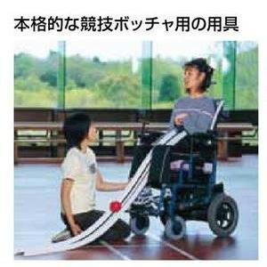 EVERNEW（エバニュー） ふみきり板 NS 長さ90×幅60×高さ11cm 木 日本製