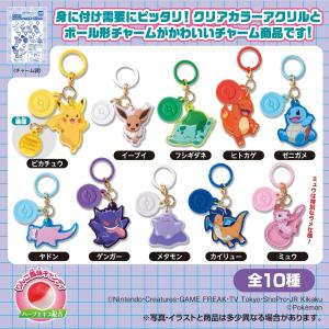 【 BOX販売 】ポケモン Poke-Char...の詳細画像2