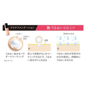 公式 江原道 アクアファンデーション SPF2...の詳細画像3