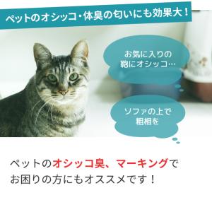 消臭 ペット スプレー マーキング 部屋 車 ...の詳細画像5