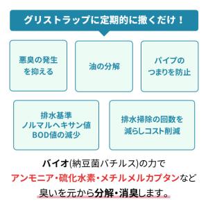グリストラップ バイオ 洗浄剤 強力 消臭 油...の詳細画像2