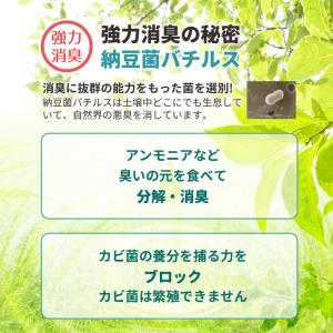 消臭剤 トイレ 車 部屋 ペット カビ 強力 ...の詳細画像5