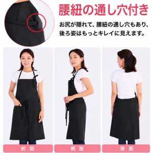 【期間限定割引中!1,560円⇒1,260円!...の詳細画像1