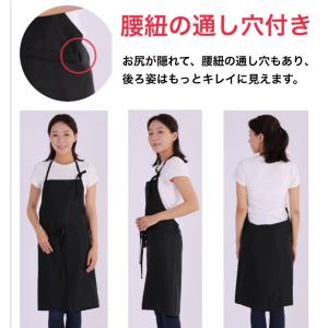 【期間限定割引中!1,560円⇒1,260円!...の詳細画像3