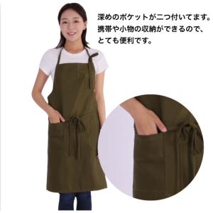 【期間限定割引中!1,560円⇒1,260円!...の詳細画像4