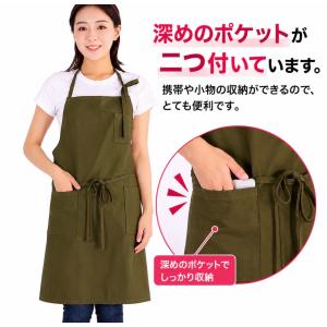 【期間限定割引中!1,560円⇒1,260円!...の詳細画像4