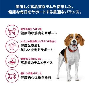 【ポイント3倍 8/15-8/16】日本ヒルズ...の詳細画像2