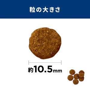 【ポイント3倍 8/15-8/16】日本ヒルズ...の詳細画像4
