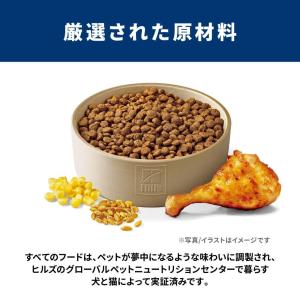 【ポイント3倍 5/15-17】日本ヒルズ・コ...の詳細画像5