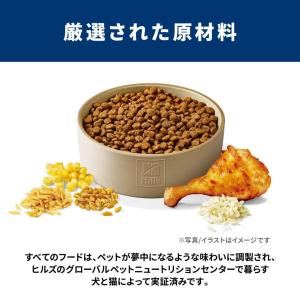 【ポイント3倍 8/15-8/16】日本ヒルズ...の詳細画像5