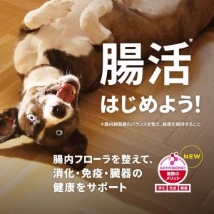 【ポイント3倍 8/15-8/16】日本ヒルズ...の詳細画像3
