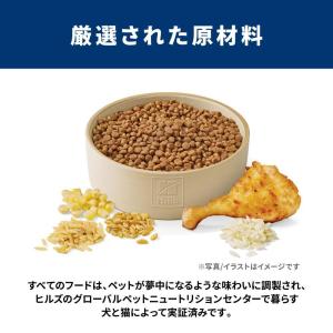 【ポイント3倍 8/15-8/16】日本ヒルズ...の詳細画像5