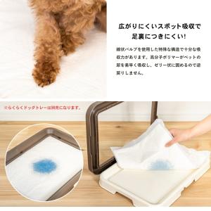 ペットシーツ レギュラー 厚型 100枚 強力...の詳細画像4