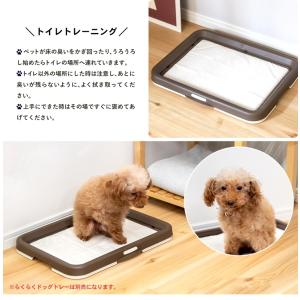 ペットシーツ レギュラー 厚型 100枚 強力...の詳細画像5