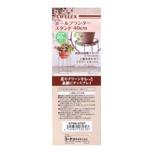 コーナン オリジナル LIFELEX ボールプ...の詳細画像1