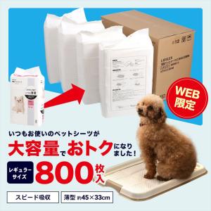 ペットシーツ レギュラー 薄型 800枚 業務用 安い シーツ ペットシート トイレ シート 大容量 コスパ最高 コーナン オリジナル 犬 猫 おしっこ 使い捨て