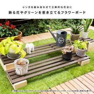 コーナン オリジナル LIFELEX 景観にな...の詳細画像1