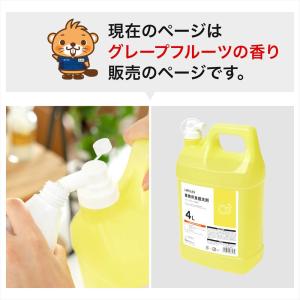 コーナンオリジナル LIFELEX 業務用 食...の詳細画像1