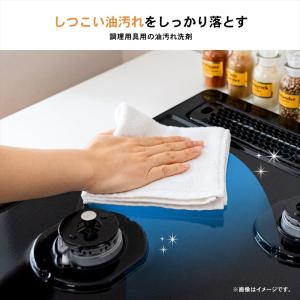 コーナンオリジナル LIFELEX 業務用油汚...の詳細画像2